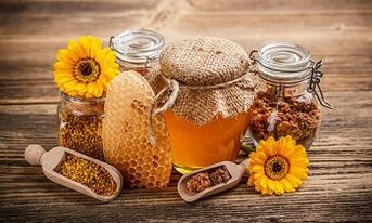 apitherapy for the treatment of varicose veins on the legs